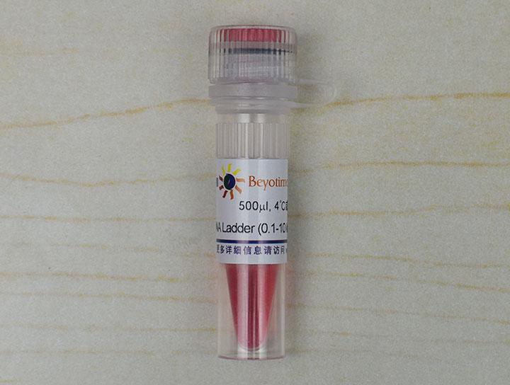 DNA Ladder (0.1-10 kb, 21 bands, with BeyoRed)